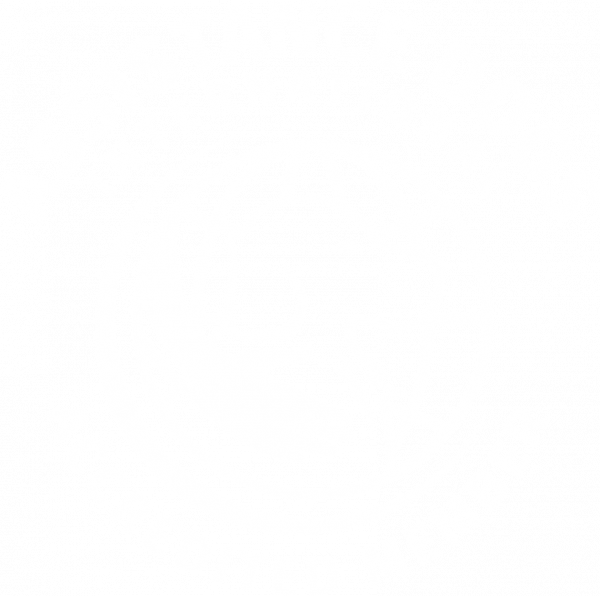 Assistance Dogs International