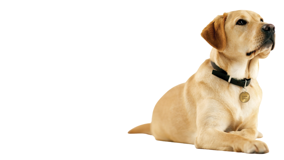 Guide Dogs WA